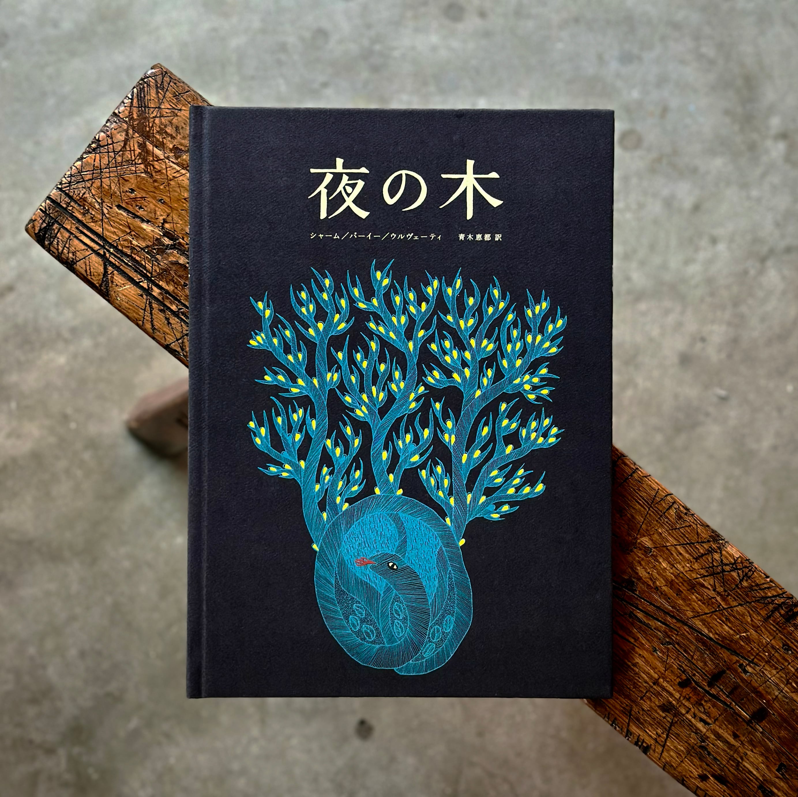 夜の木 第13版