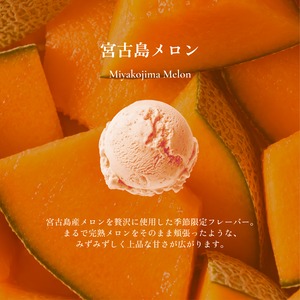 島の恵みジェラート（8個セット）