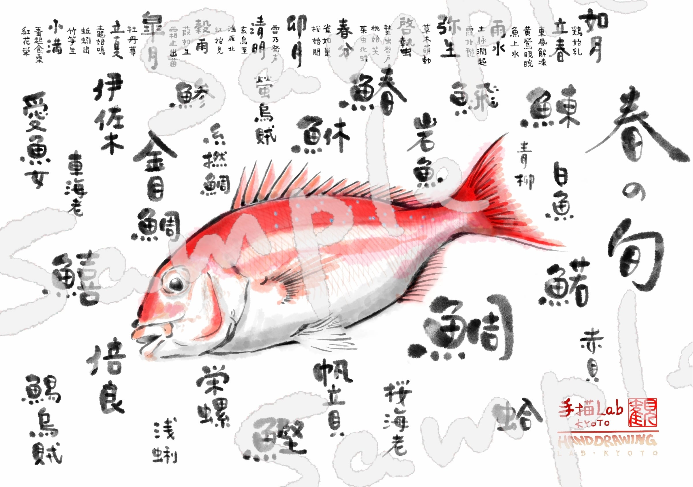 春の旬 A1ポスター（鯛） | 手描きDESIGN Lab
