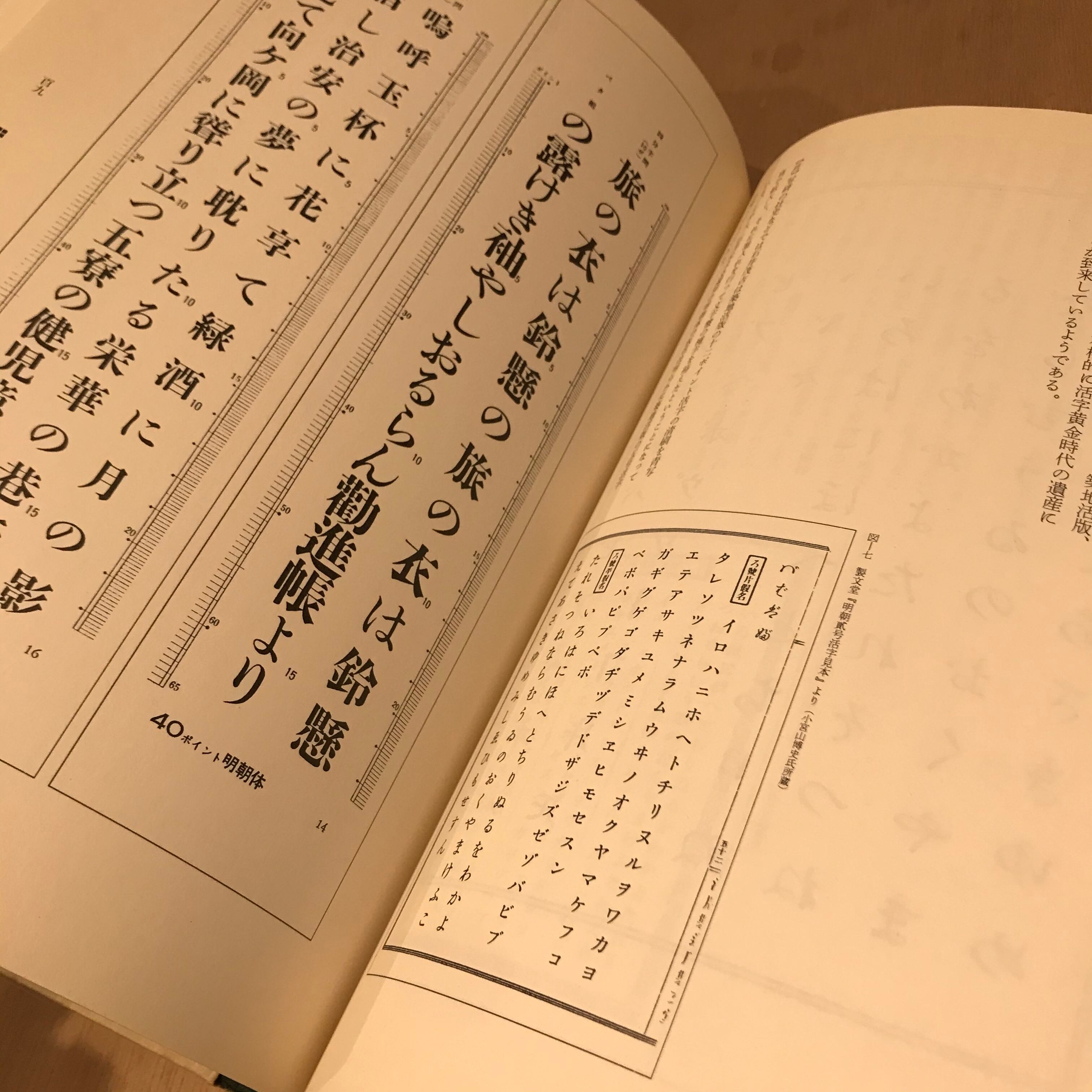 組版原論 : タイポグラフィと活字・写植・DTP
