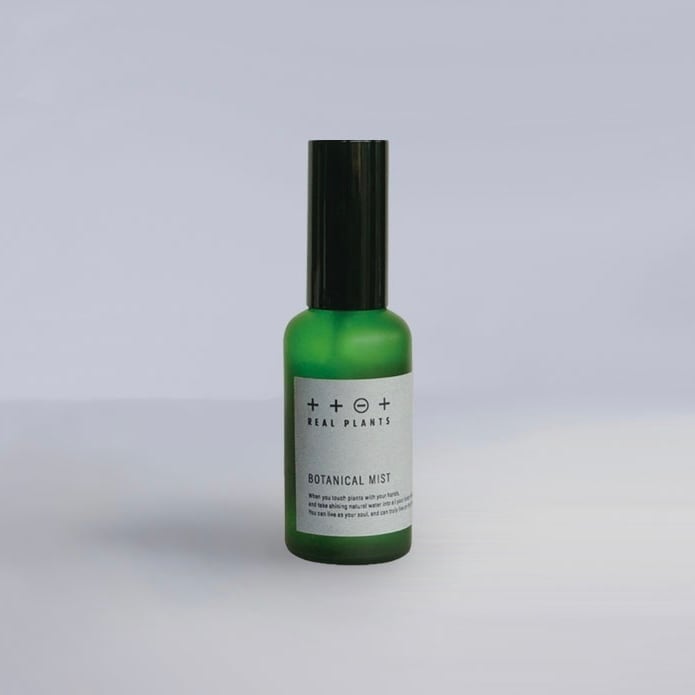 月桃の房（実つき）【袋入】70g（約3~4房） | REAL PLANTS