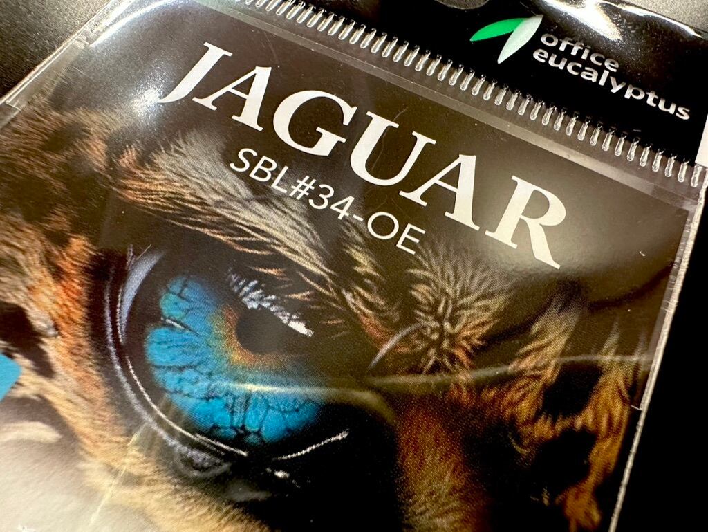 オフィスユーカリ / ジャガー JAGUAR SBL34-OE | ルアーショップB