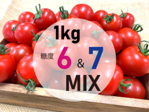 パニパニトマト　糖度6&7 ミックス　（約1kg）