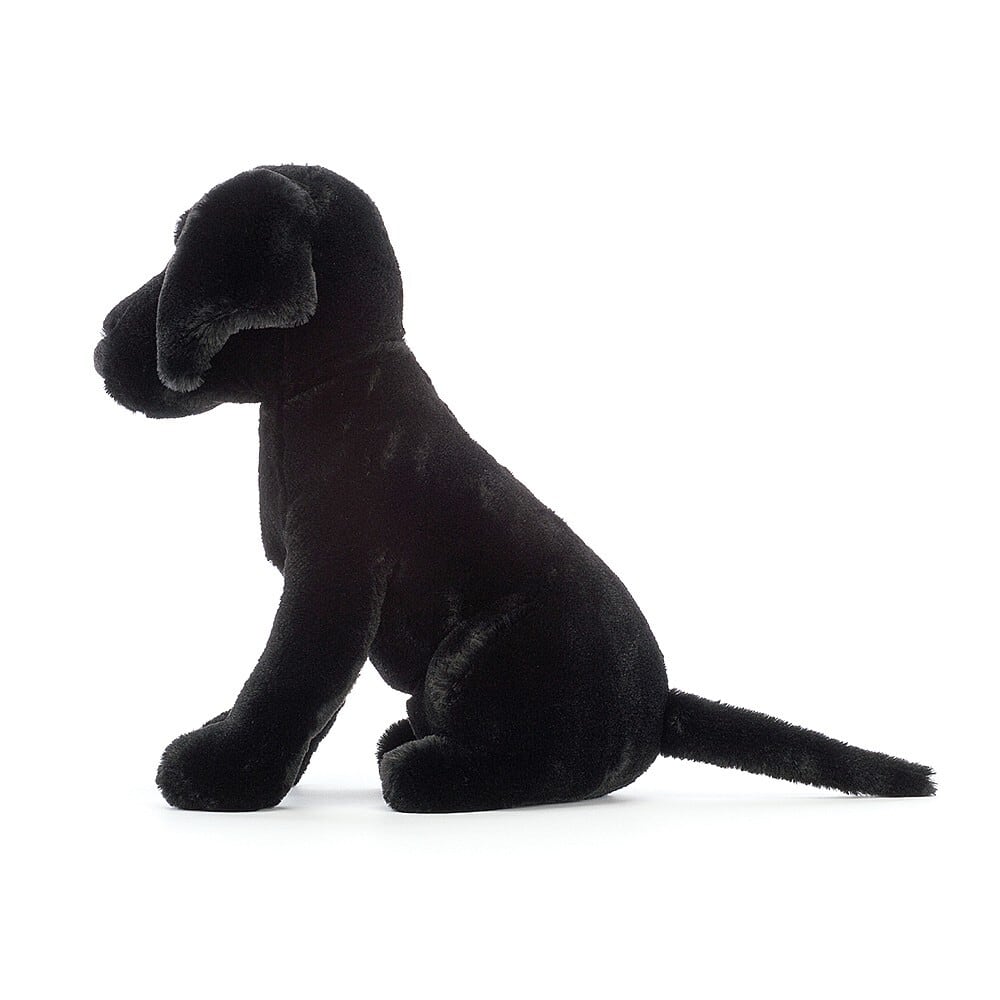 Pippa Black Labrador_PIP3BL