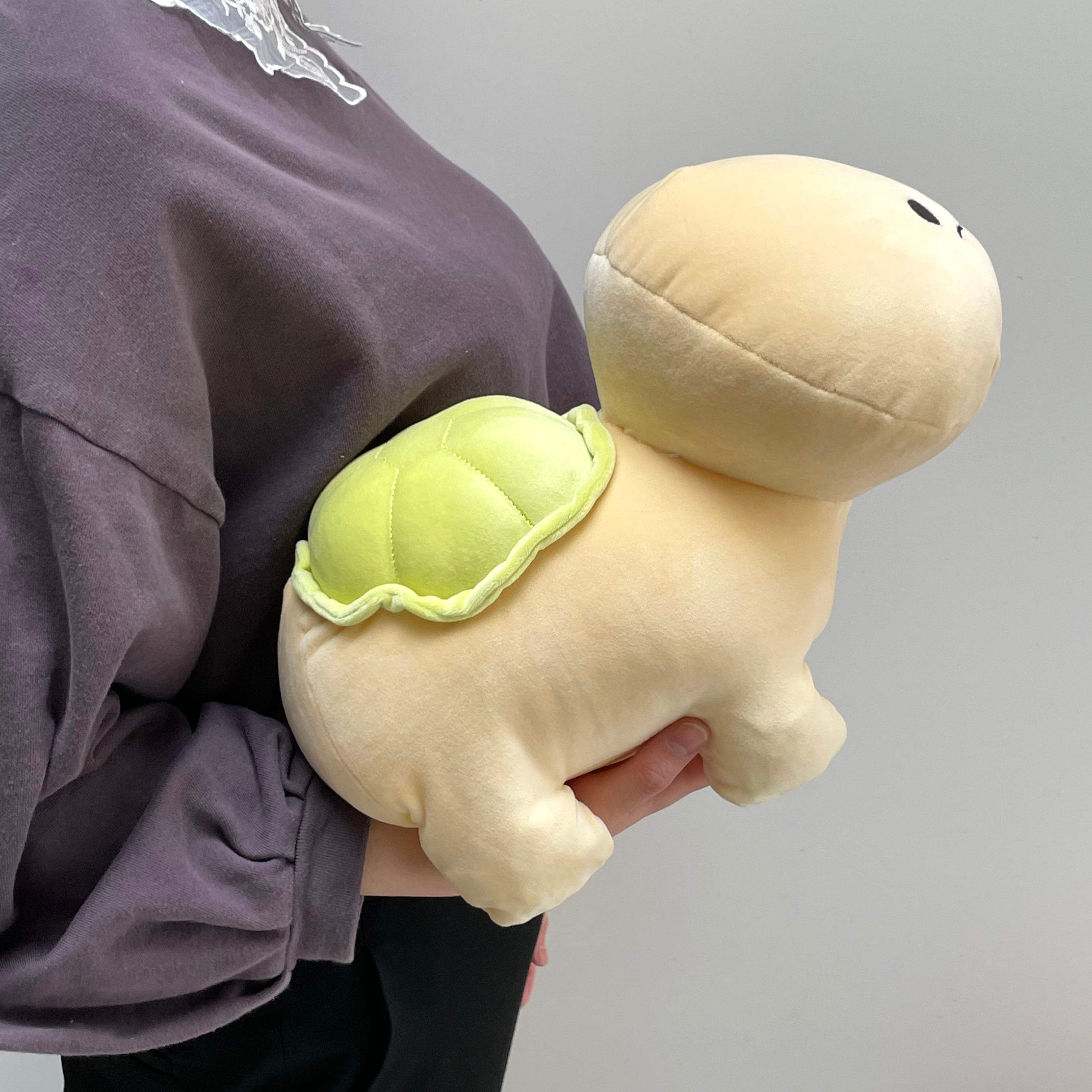 mof】マスコットS ミドリガメ /TM113-24 | ACCENT STORE