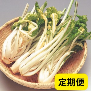 【毎月届く定期便】野菜ソムリエ上級Proが毎月厳選‼ 山形の恵み定期便♪