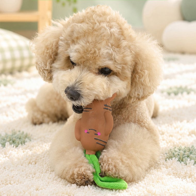 A+ginseng latex toy 2color /  ペット 犬 おもちゃ 噛む 音が鳴る 知育玩具 鳴き笛入り 可愛い わんちゃん おもちゃ ラテックス トイ ストレス解消 韓国 ペット用品
