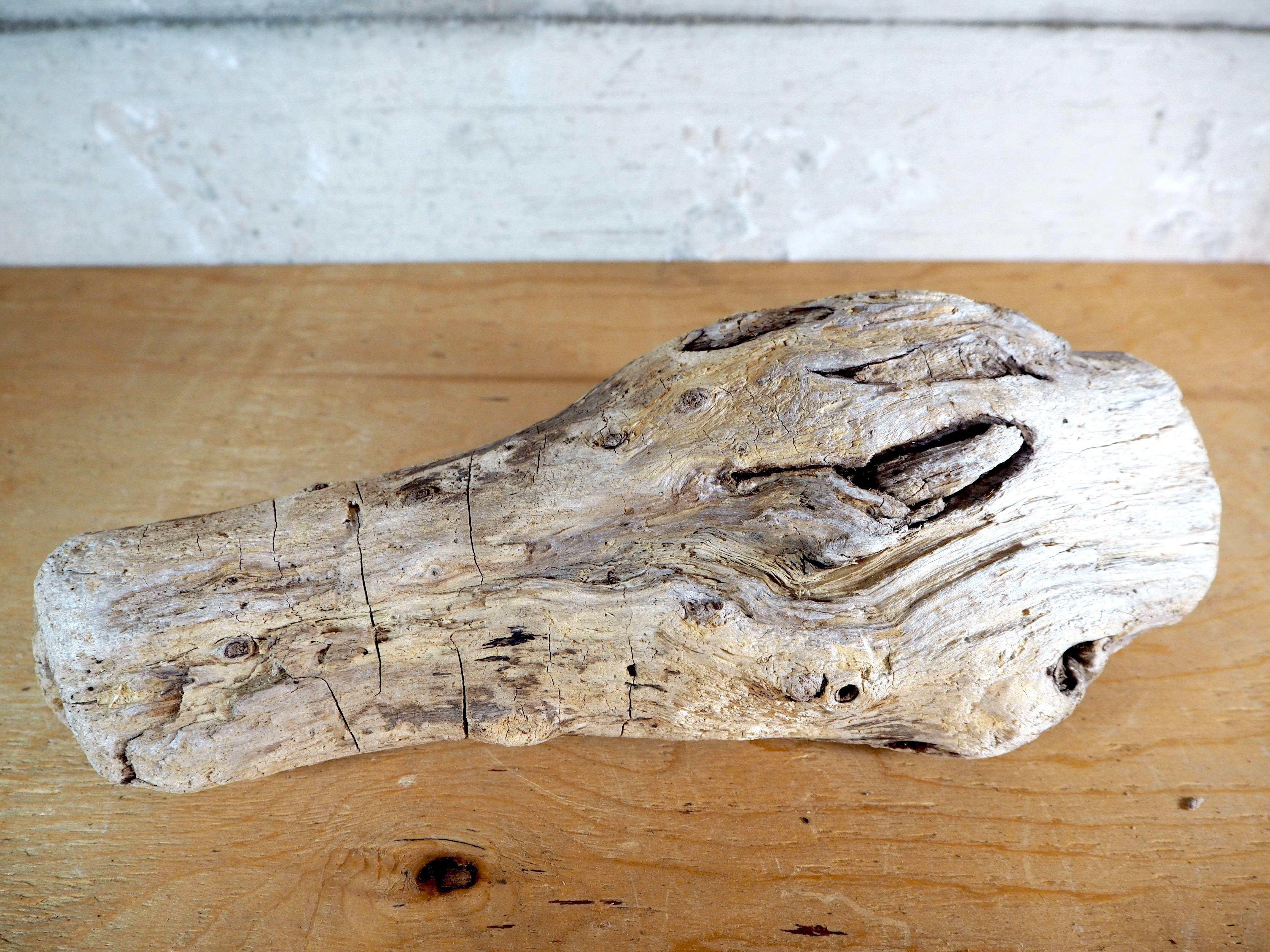 流木販売専門店 山の流木