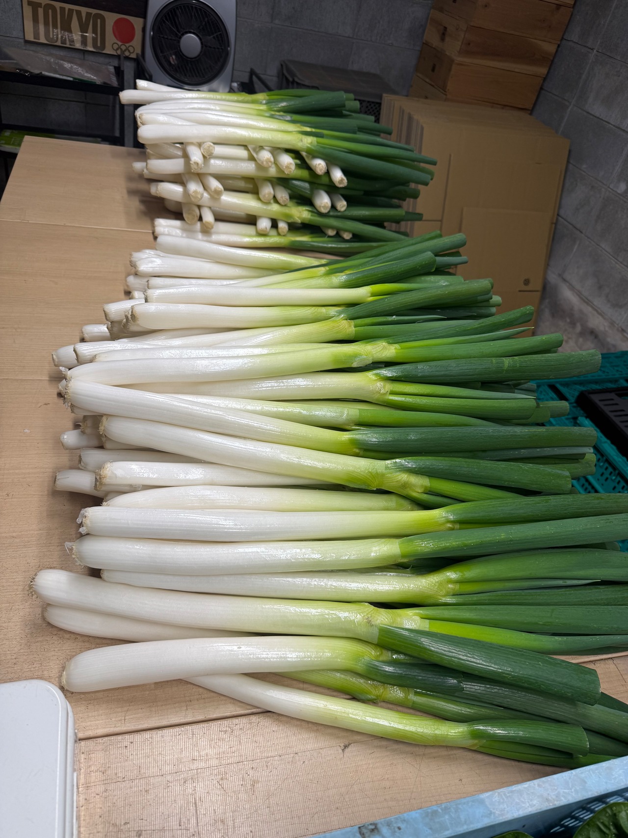 小松菜と季節のお野菜ミニセット【送料込み】