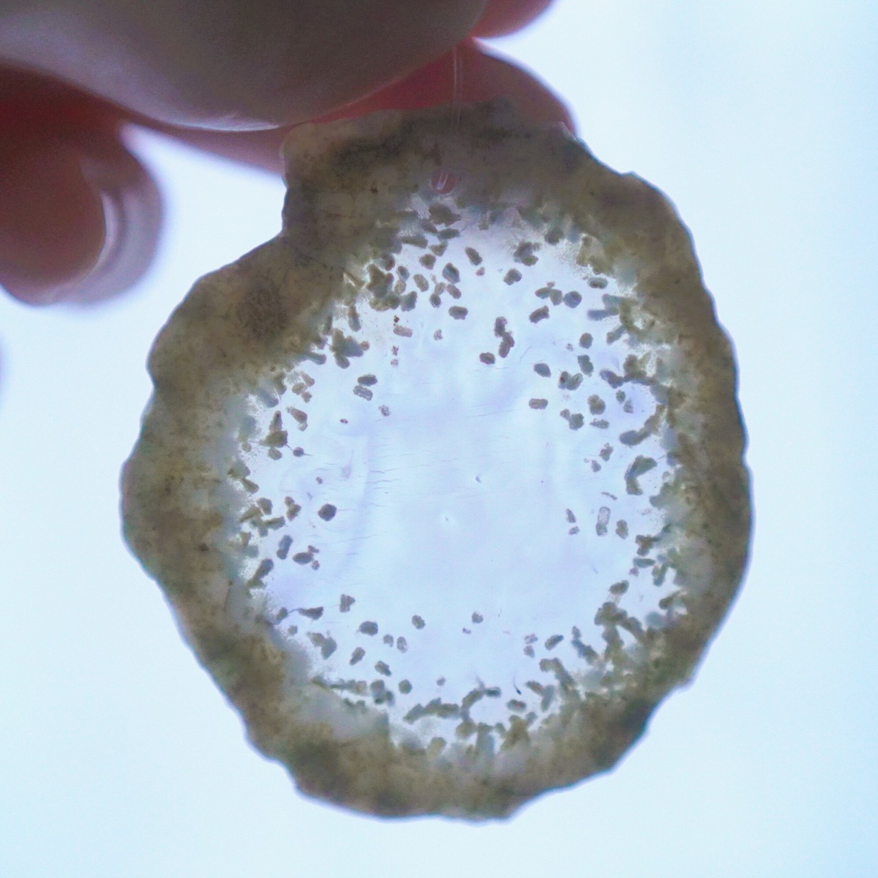 Water Lily - アゲートヒーリングチャイム / Agate Sun Catcher Wind Chime 291