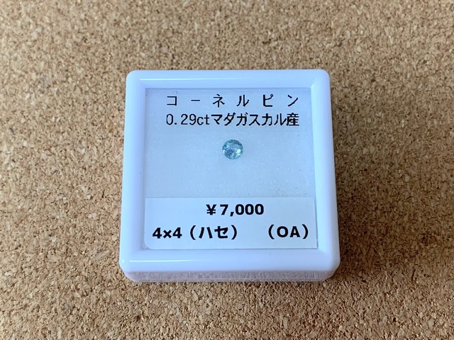 YouTube179-6 コーネルピン［マダガスカル産］