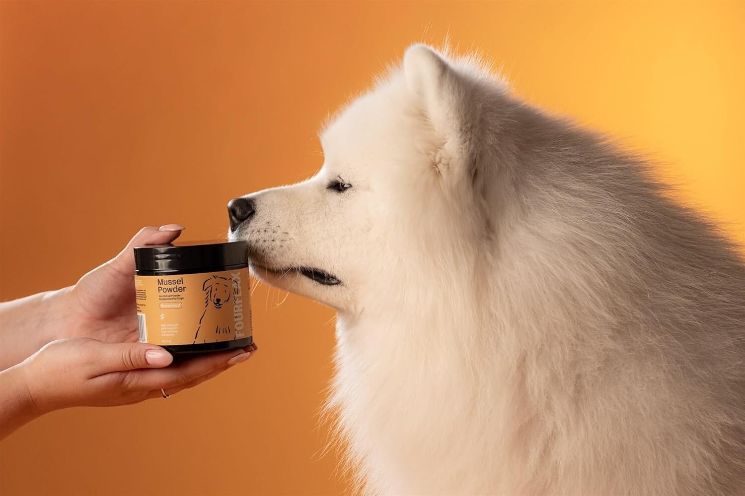 K9 Natural FOURFLAX (フォーフラックス) ニュージーランド・グリーン