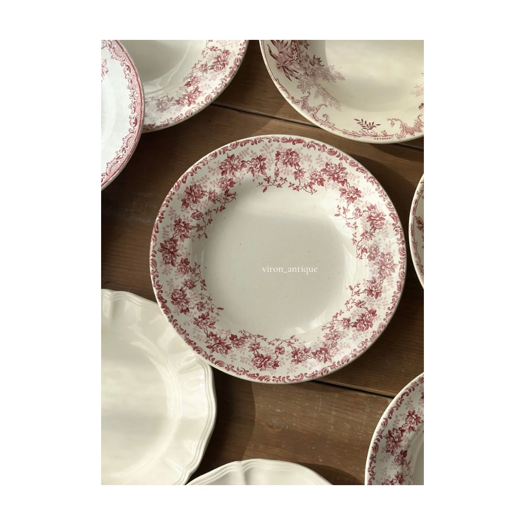 Choisy le roi ショワジールロワ / “ROYAN” 深皿プレート a