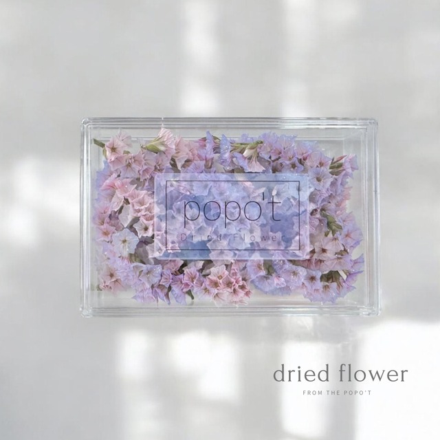 HBチス　popo'tカラーグラデーションラメ付き