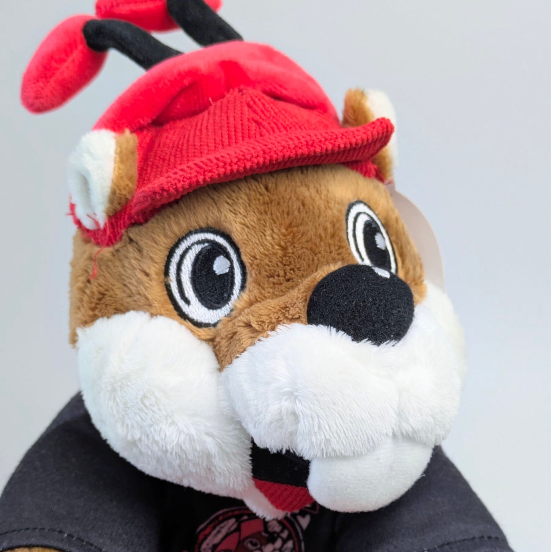 【 Buc-ee's（バッキーズ） 】 バレンタイン限定BIGプラッシュ / ぬいぐるみ 〚アメリカン雑貨 アメトイ〛