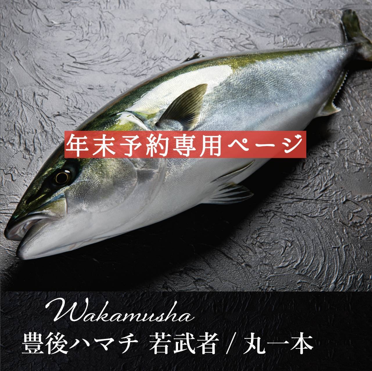 ！年末予約！[丸一本]  豊後ハマチ  若武者  ※送料込