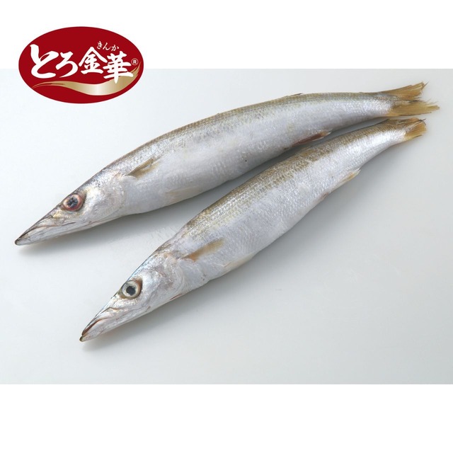 宮城県産 とろ金華かますIQF 200～300g/5kg