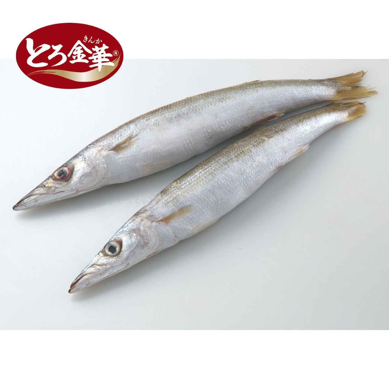 宮城県産 とろ金華かますIQF 200~300g/5kg