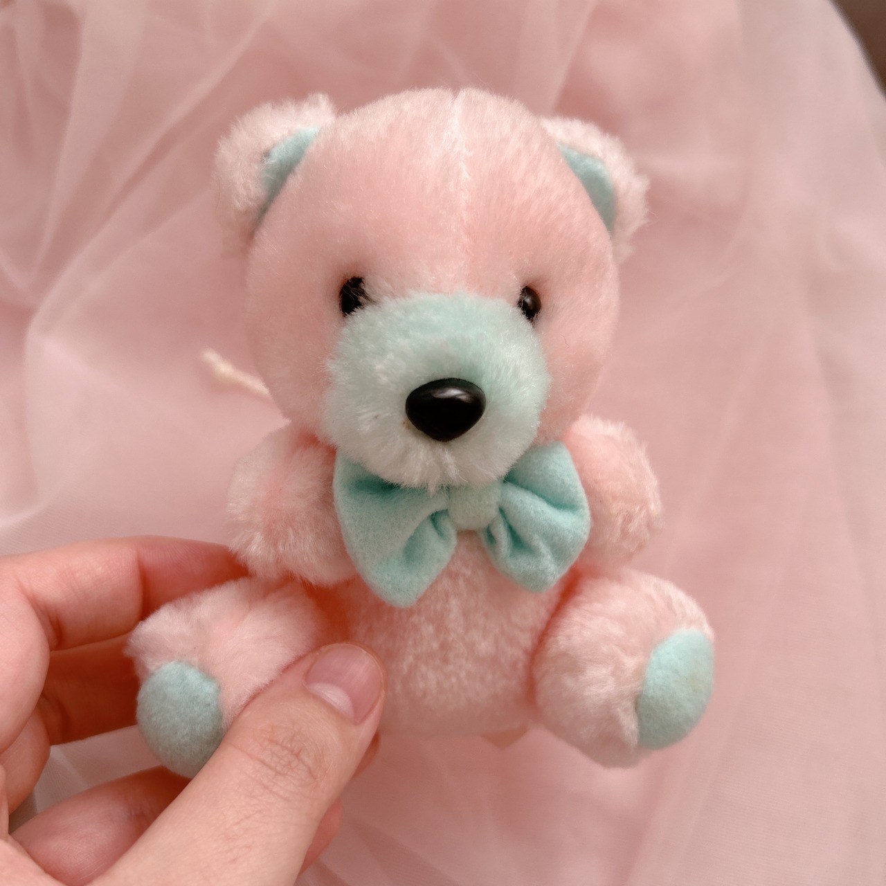 Pastel kumaの画像05