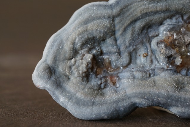 コンシャ・アゲート Concha Agate 894