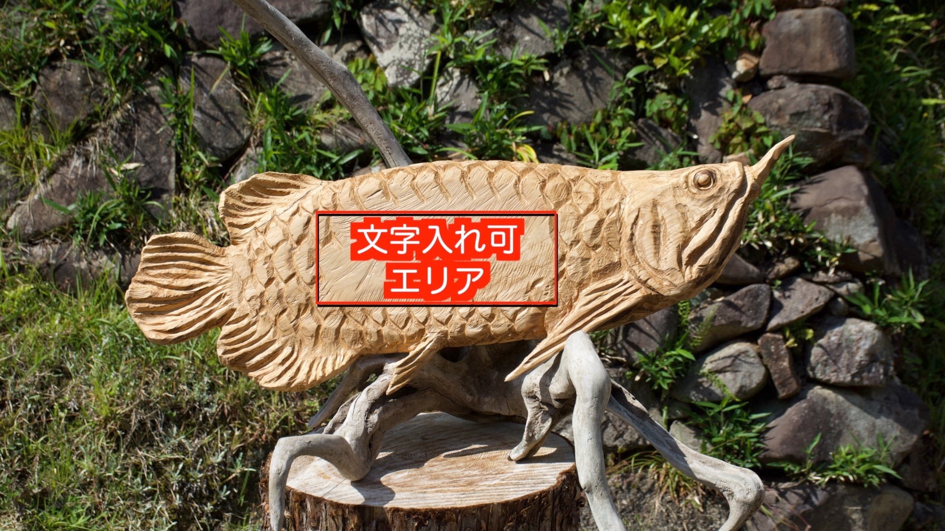 木製 鮮やかな魚の彫刻 アジア·アロワナ 木製 鮮やかな魚の彫刻 アジア·アロワナ 木製 鮮やかな魚の彫刻 アジア