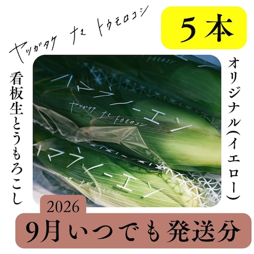 【9月いつでも発送】看板生とうもろこし5本