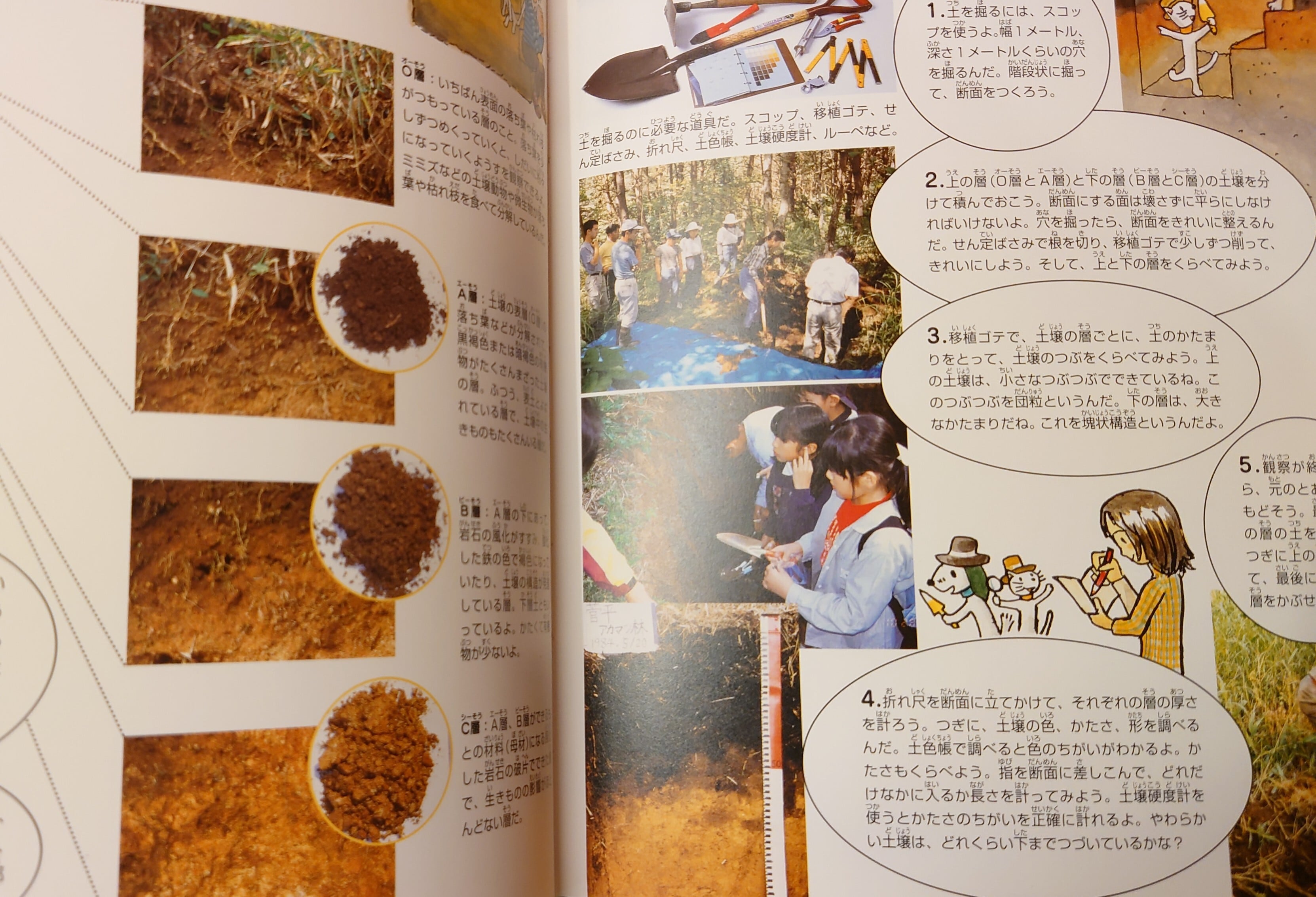 そだててあそぼう 土の絵本 5冊 農文協 そだててあそぼう 土の絵本 5冊 農文協 土の絵本 5 環境をまもる土