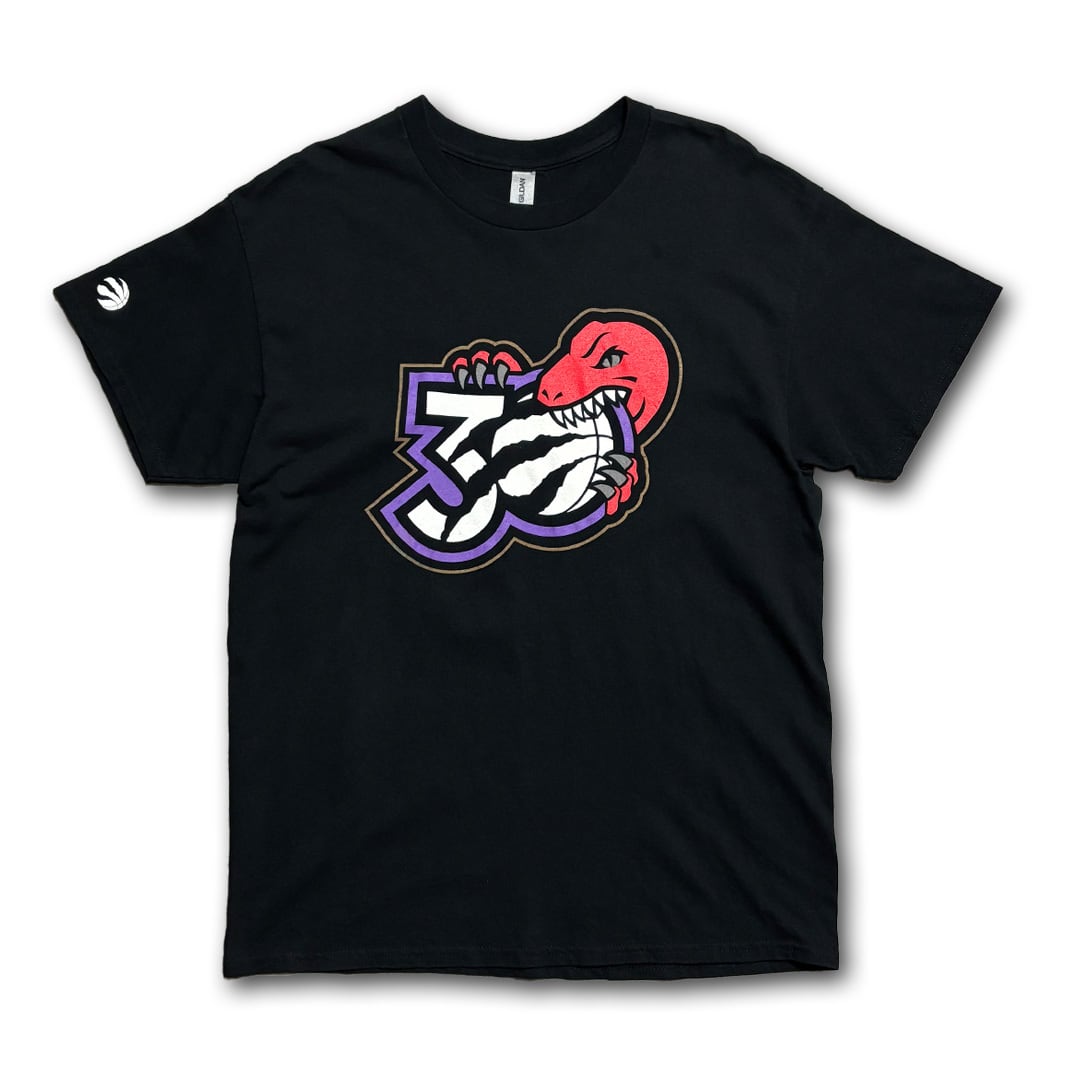 Toronto Raptors Printed T-Shirt. GILDAN