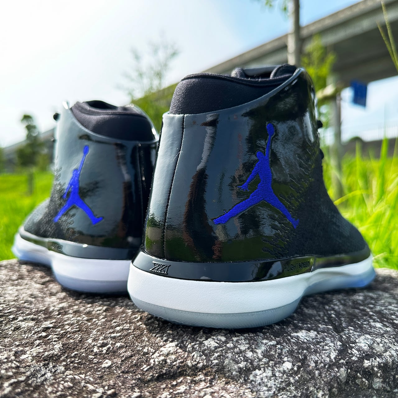 Air Jordan XXXI 