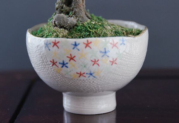 盆栽 桃 Peach Tree Bonsai #56（鉢変更） | Oh! BONSAI