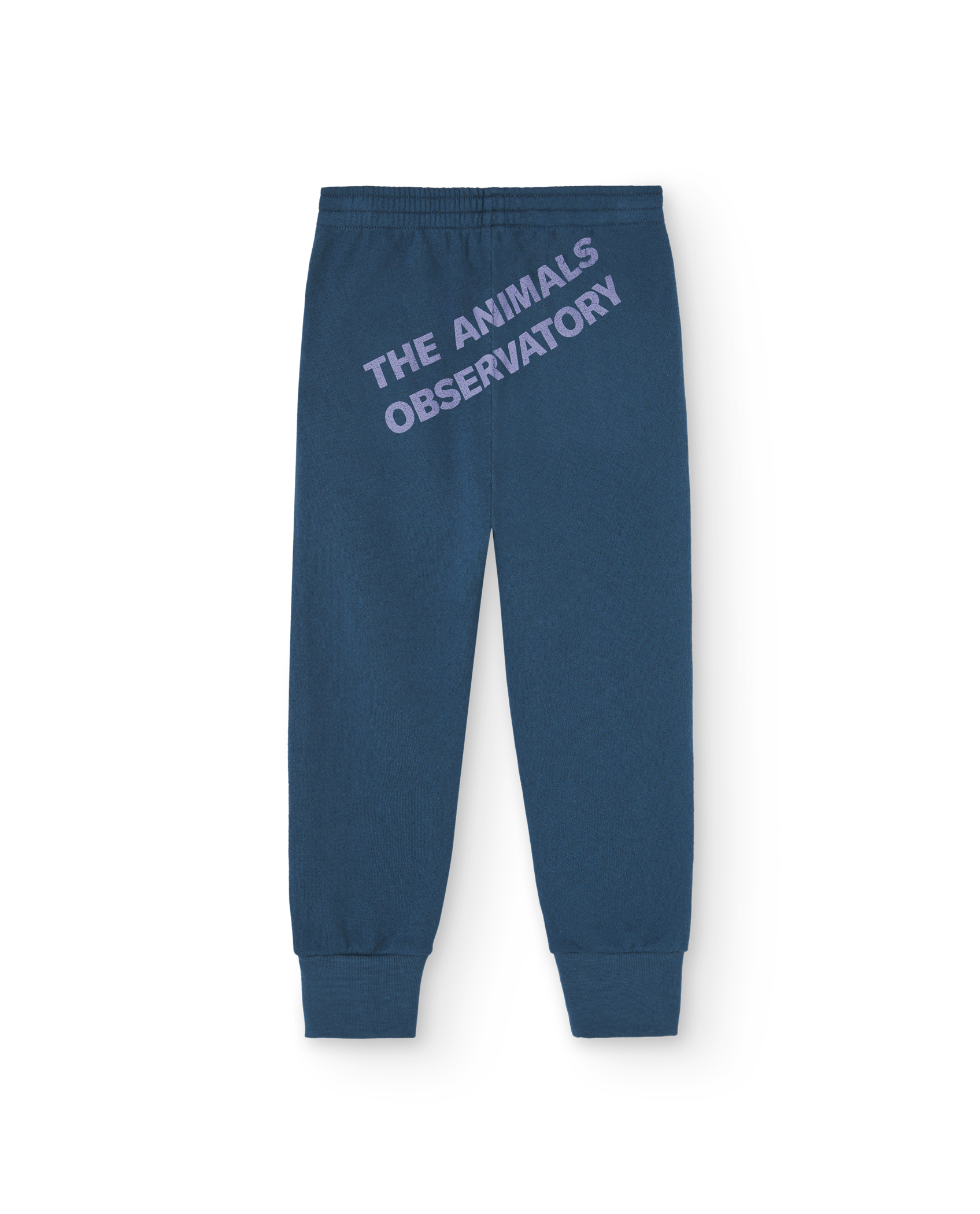 animals The observatory（ジ・アニマルズ・オブザーバトリー）の「The 