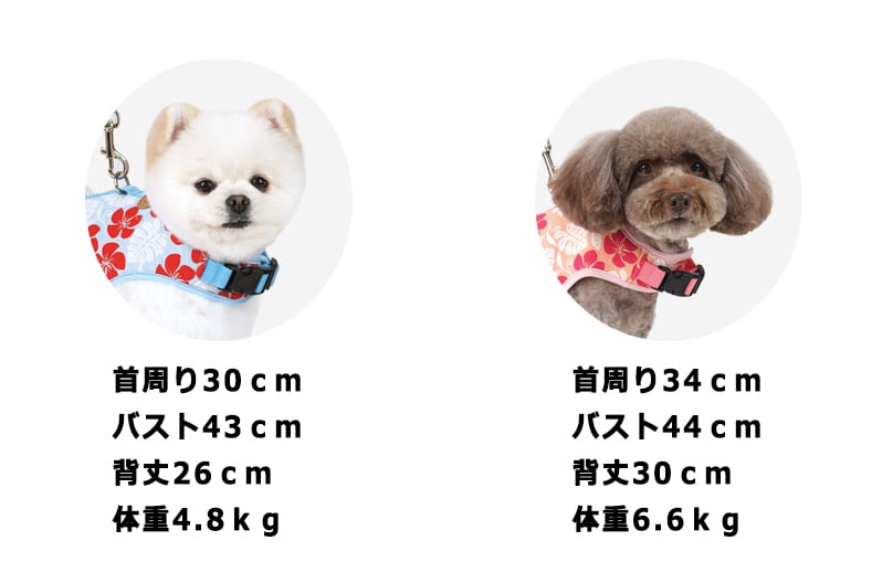 犬用マナーベルト 3color　小型犬 中型犬 ペット用品 しつけ