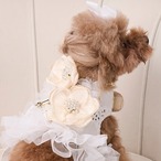 【TEO I'm COOL】SANGALLO BUTTERFLY tailoring harness