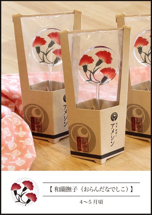 うちわ飴【  和蘭撫子（おらんだなでしこ）】：母の日頃限定柄