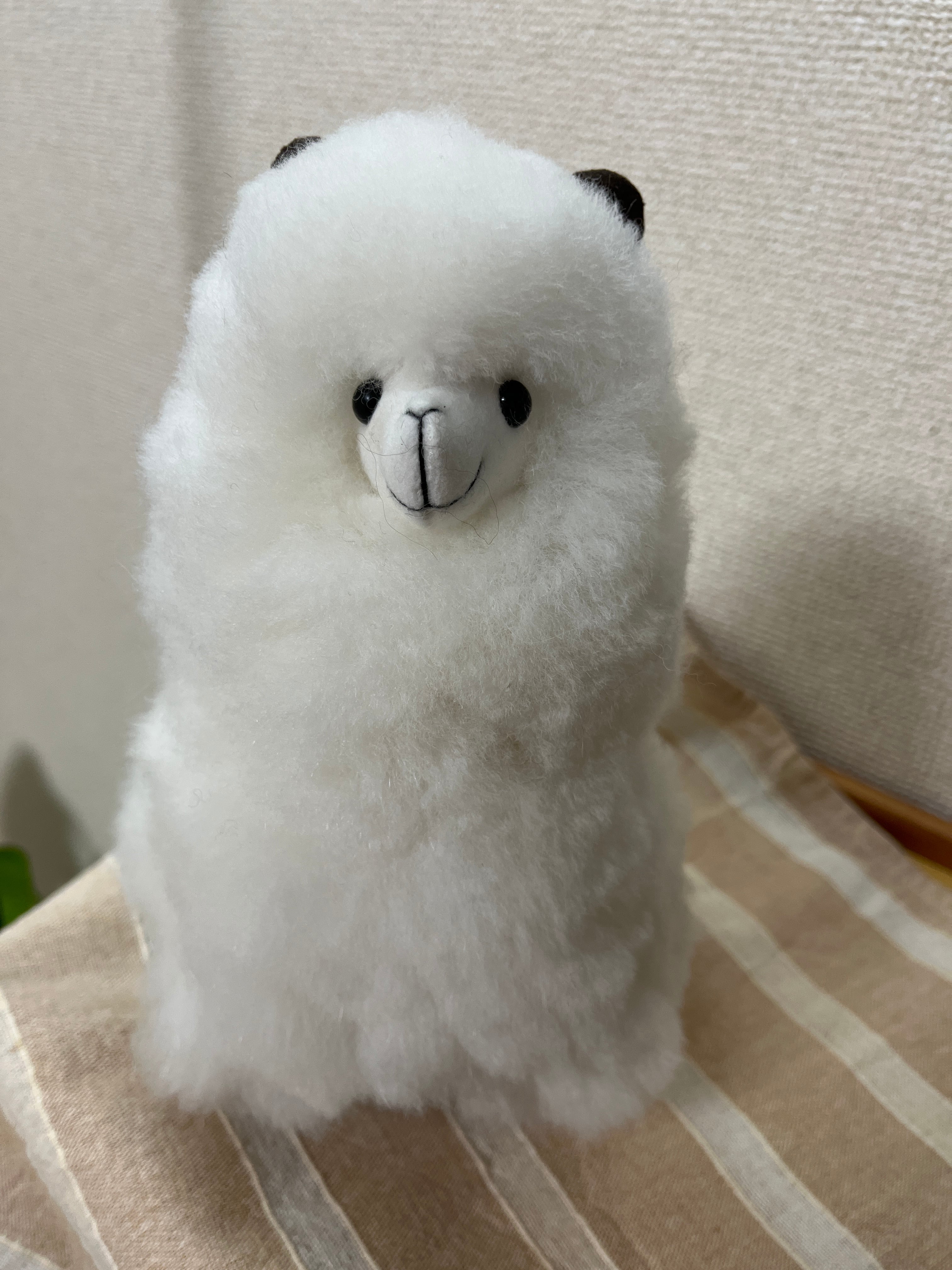 アルパカ純毛人形 25cm 白 Ai | ALPACA WORLD