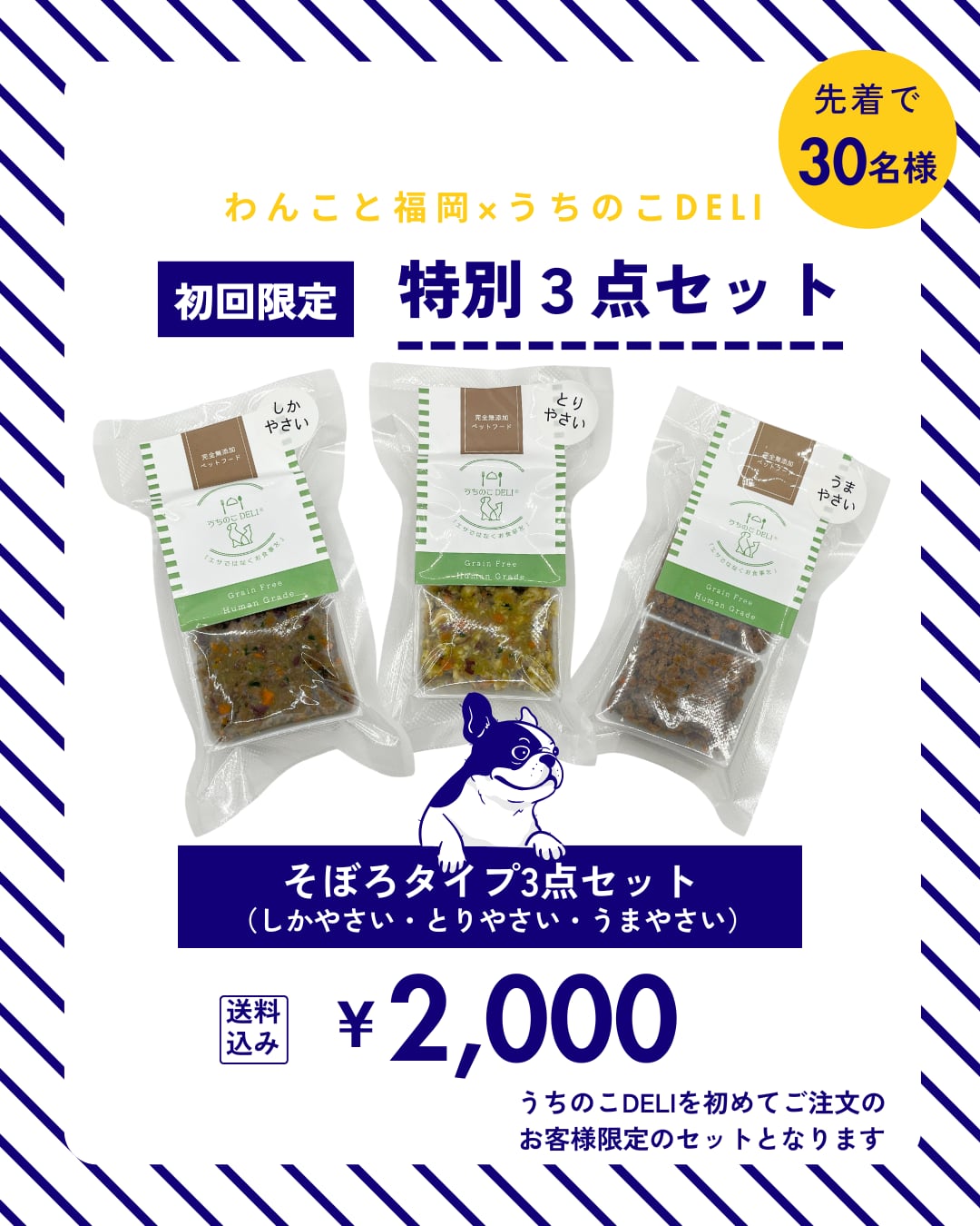 【わんこと福岡】特別セット