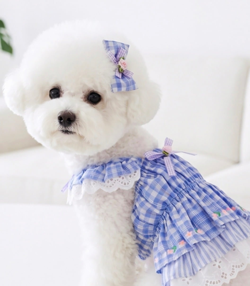 momozoo_dogwear