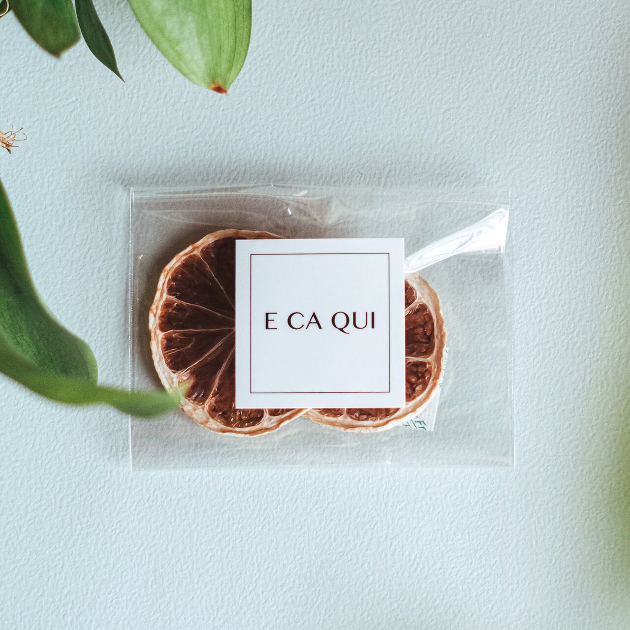 ドライレモン（2枚） | E CA QUI