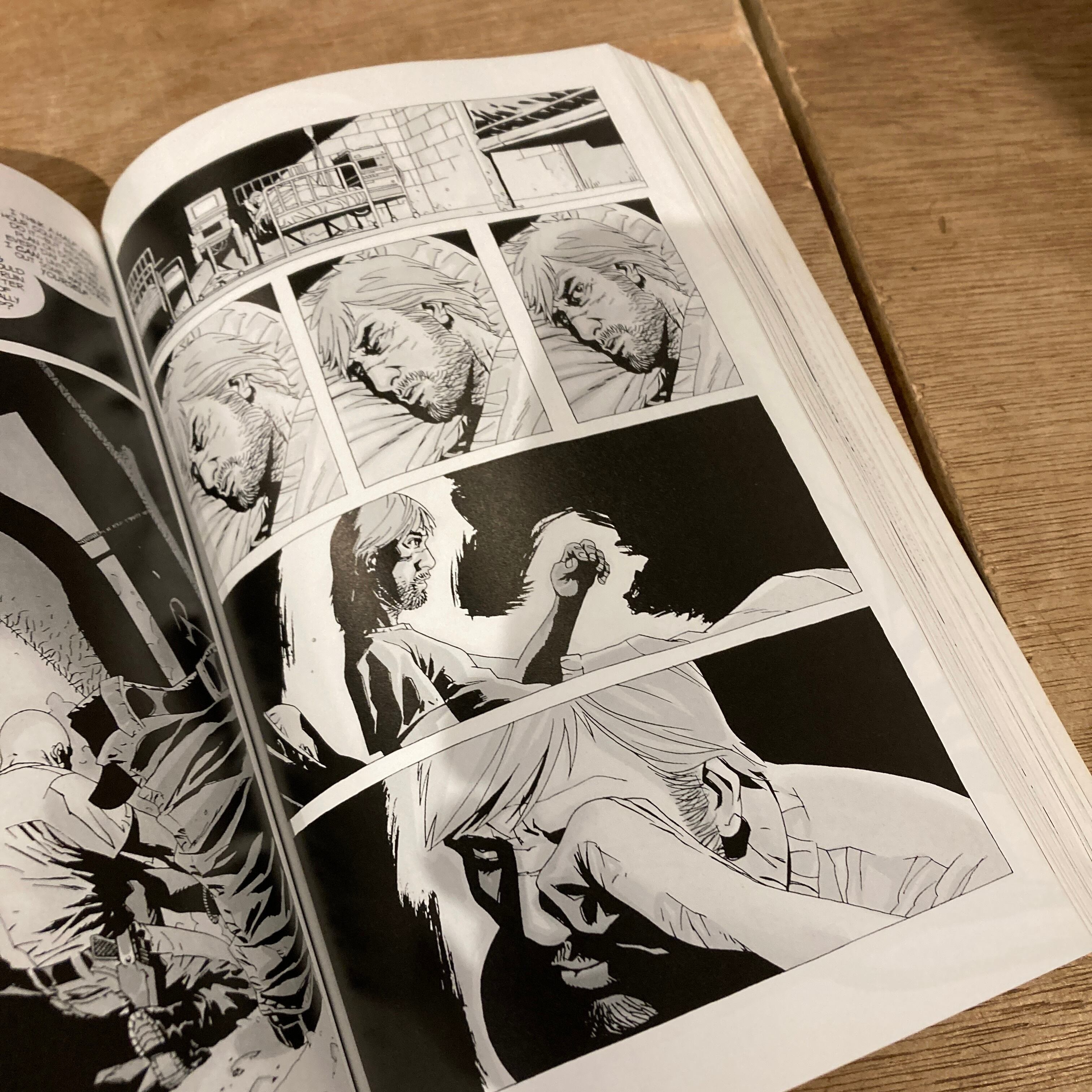 THE WALKING DEAD compendium one | 百年