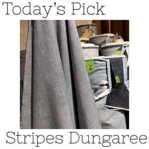 【Today's Pick】Stripes Dungaree【2024/04/09】