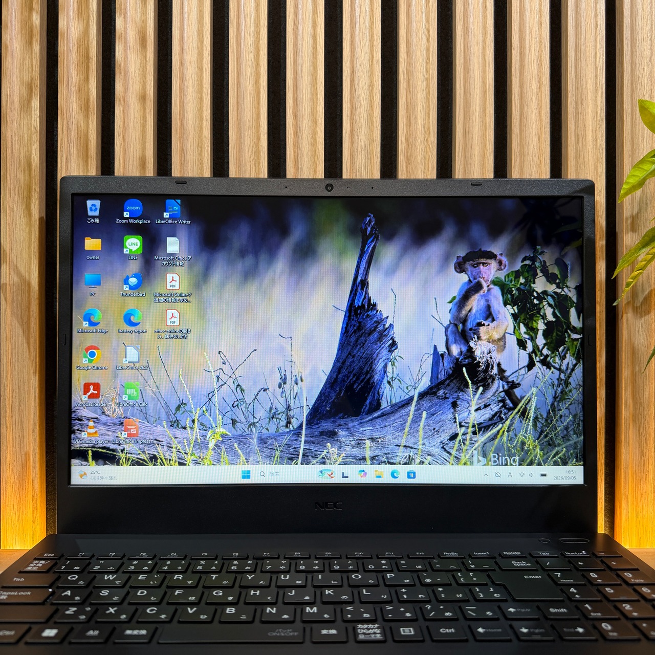 ☘️超美品☘️2022年夏モデル‼️NEC LAVIE N15☘️バッテリー新品同様☘️メモリ8GB☘️SSD256GB☘️ノートパソコン