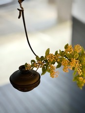 東屋  吊り花入 AZTK00003［2106100000471］