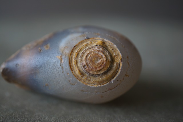 ゴビアゲート Gobi Agate 2383