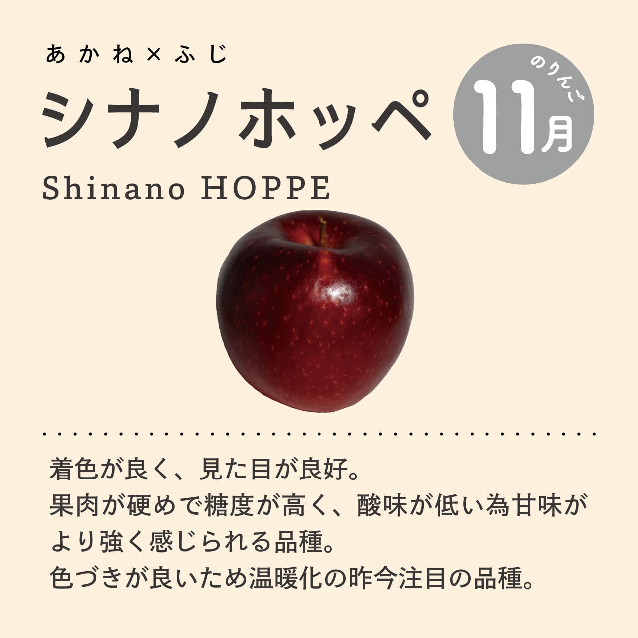りんご：シナノホッペ》100％ジュース【250ml】 | 泉が丘喫茶室