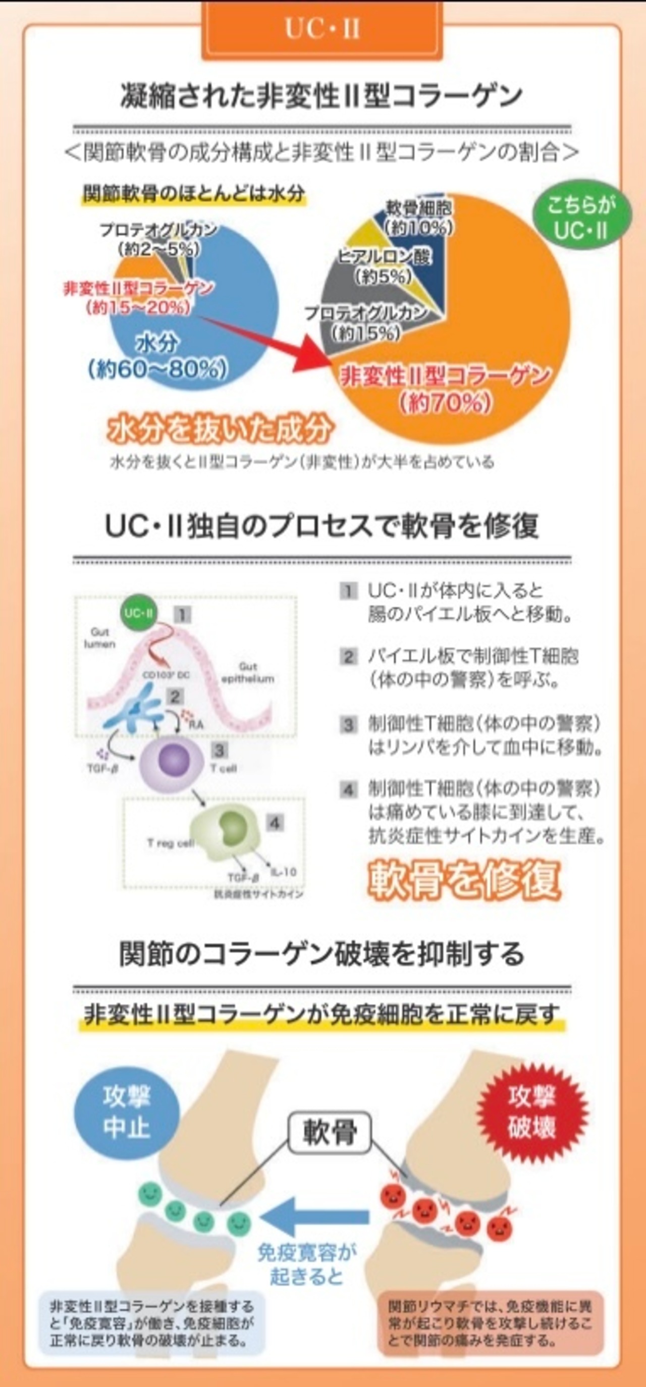 エイチジンジョイント 人用 180粒入り・画像5