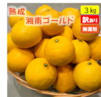 送料無料 熟成・湘南ゴールド(家庭用)3kg