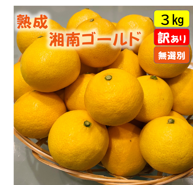 送料無料　超熟☆芳醇・湘南ゴールド（L・２Lサイズ）２ｋｇ