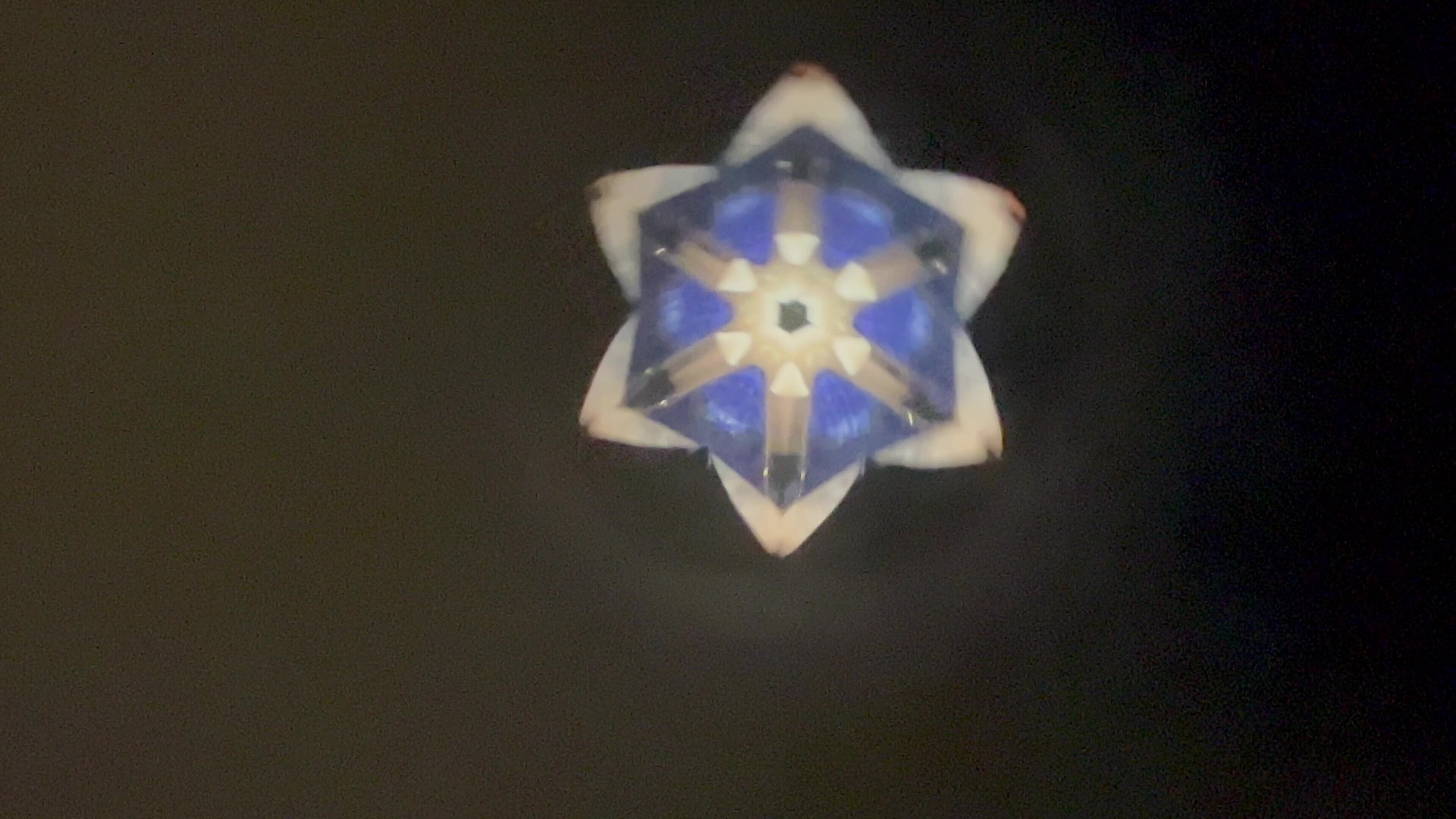 溝口好晴 和の万華鏡シリーズ 般若心経 | ギャラリーレックス 一流陶芸