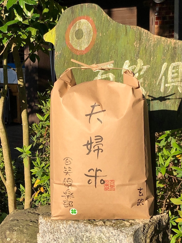 【10kg】夫婦米 玄米