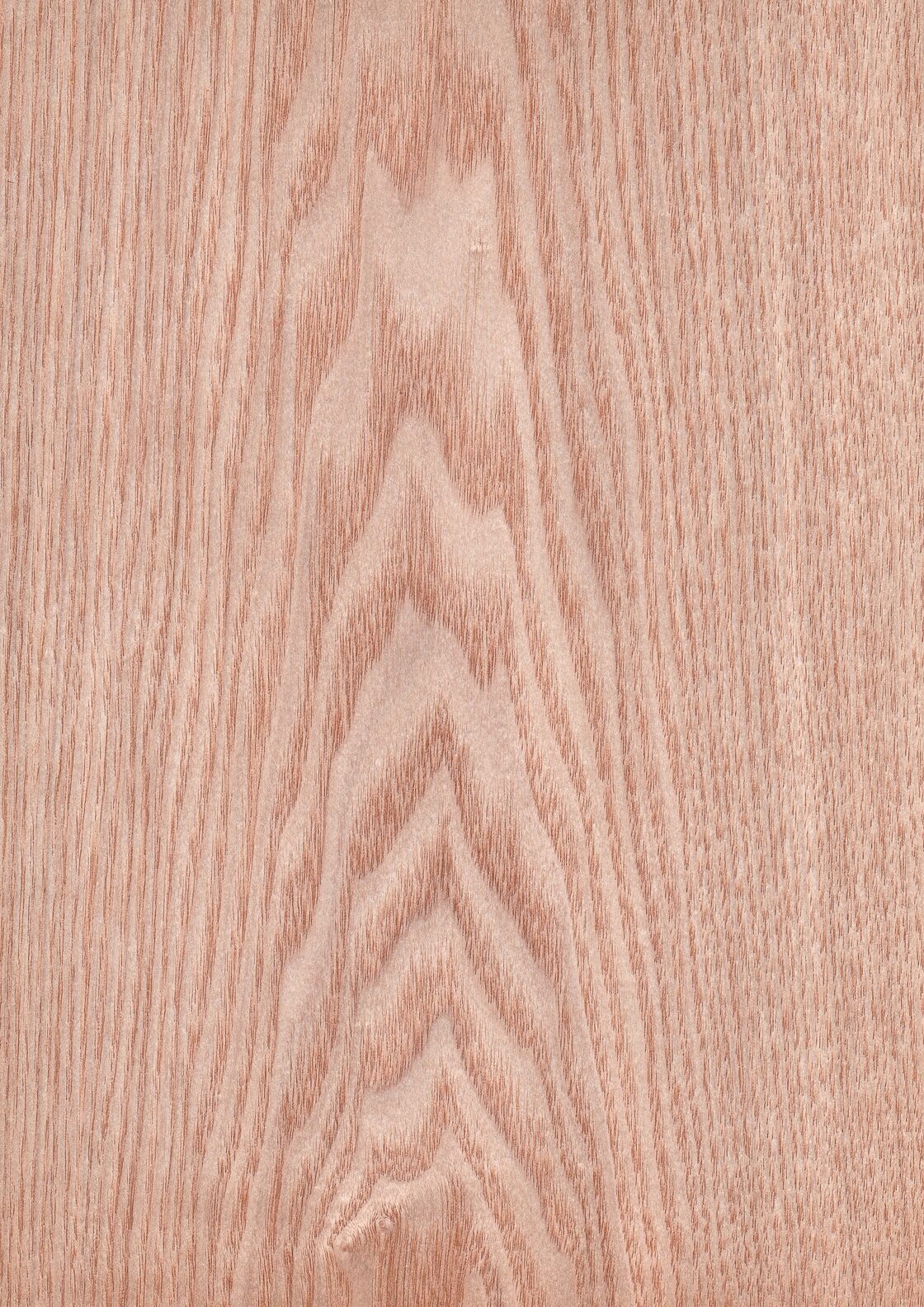 天然木ツキ板シート タモ 薄色系 900mm×1800mm | PAY ID